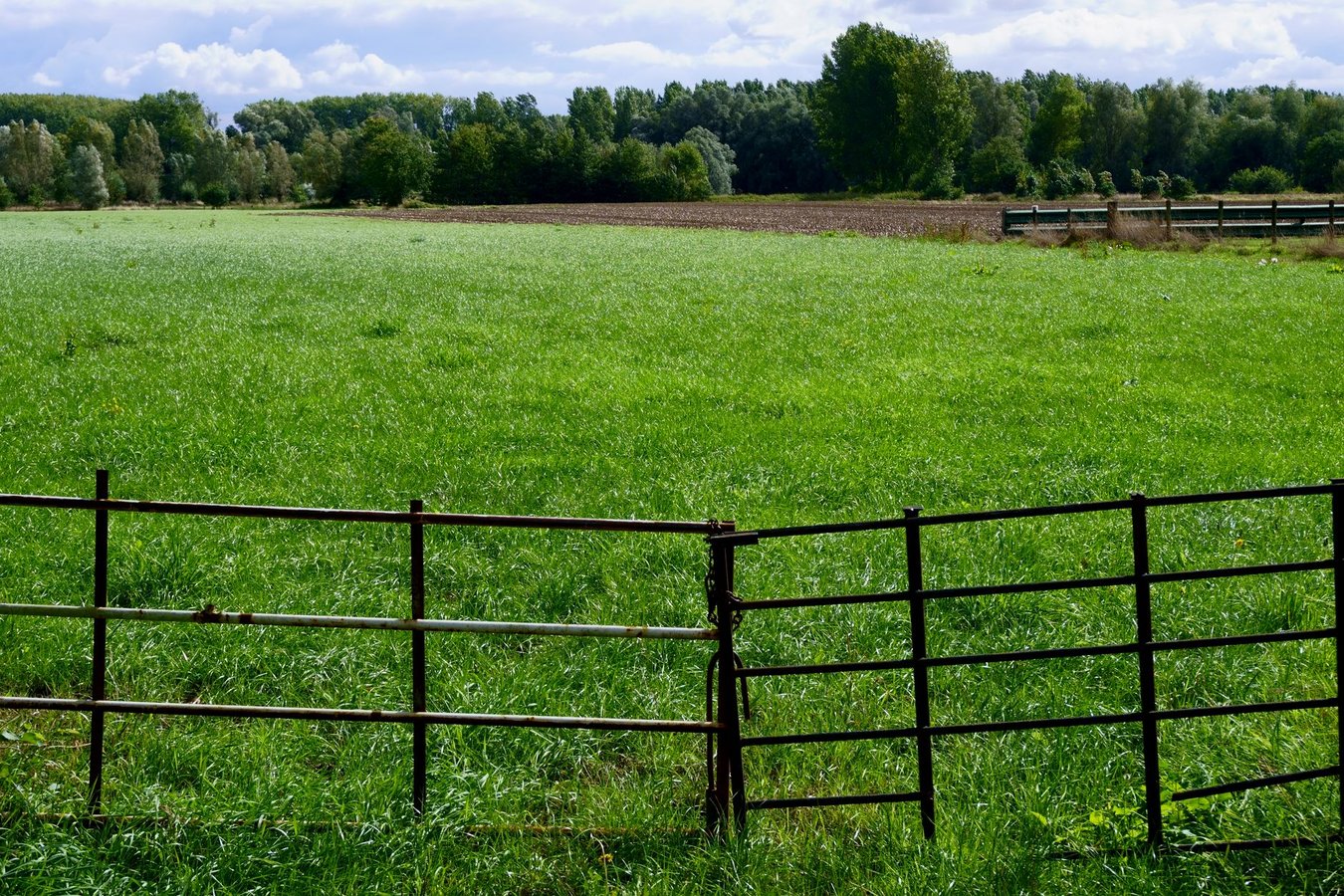 Duurzaam en stijlvol? Kies de juiste schutting voor je tuin